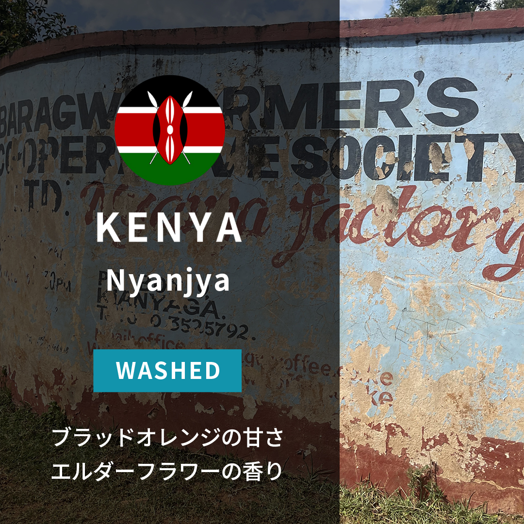 Kenya Nyanja Washed(25/26年クロップ) | ORIGIN COUNTRIES for Small